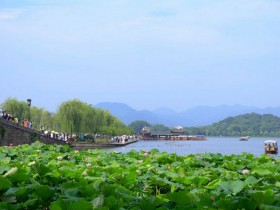 提防骗局之关于村民的智慧与贪婪的故事