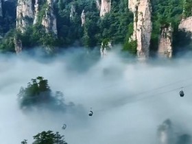 张家界美好国际旅行社招聘客服人员