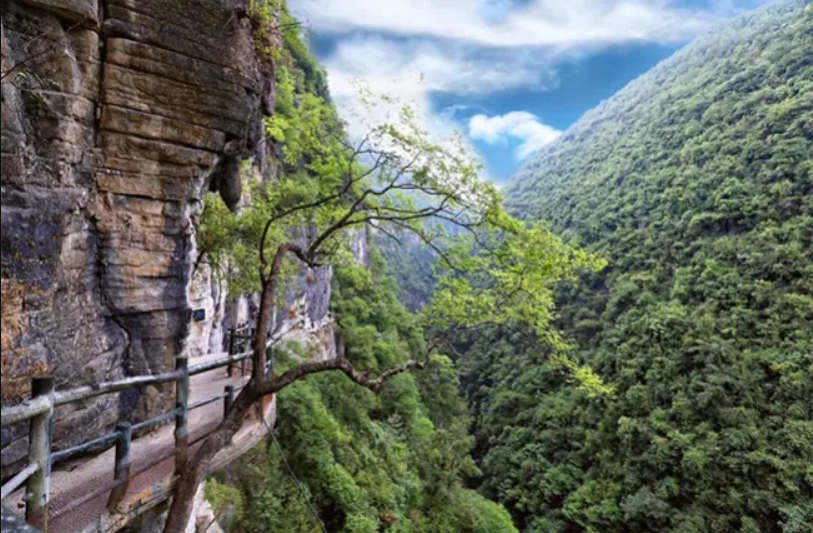 一家人去湖北恩施旅游景点攻略